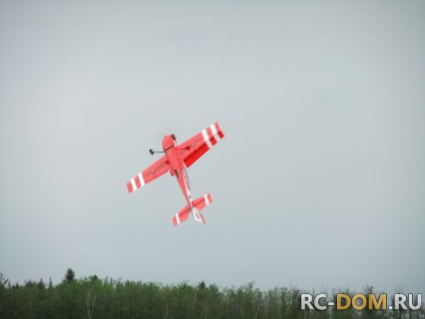 DSCF2561