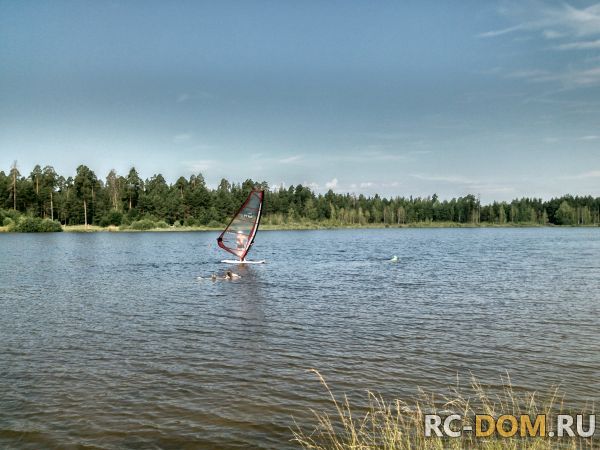 В погоне за акулой местного разлива...