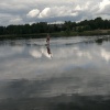 Водитель кобылы...
