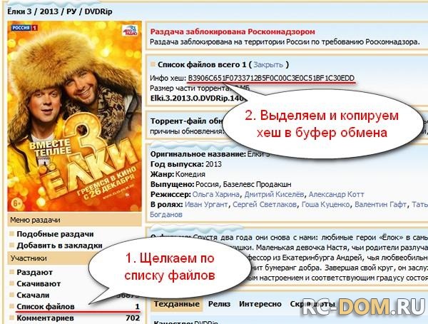 Как скачать раздачу заблокированную Роскомнадзором