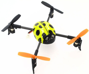 V939 Lady Bird